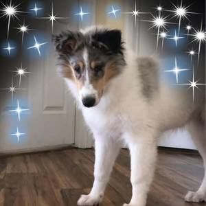 Meet your Posher, Genevieve